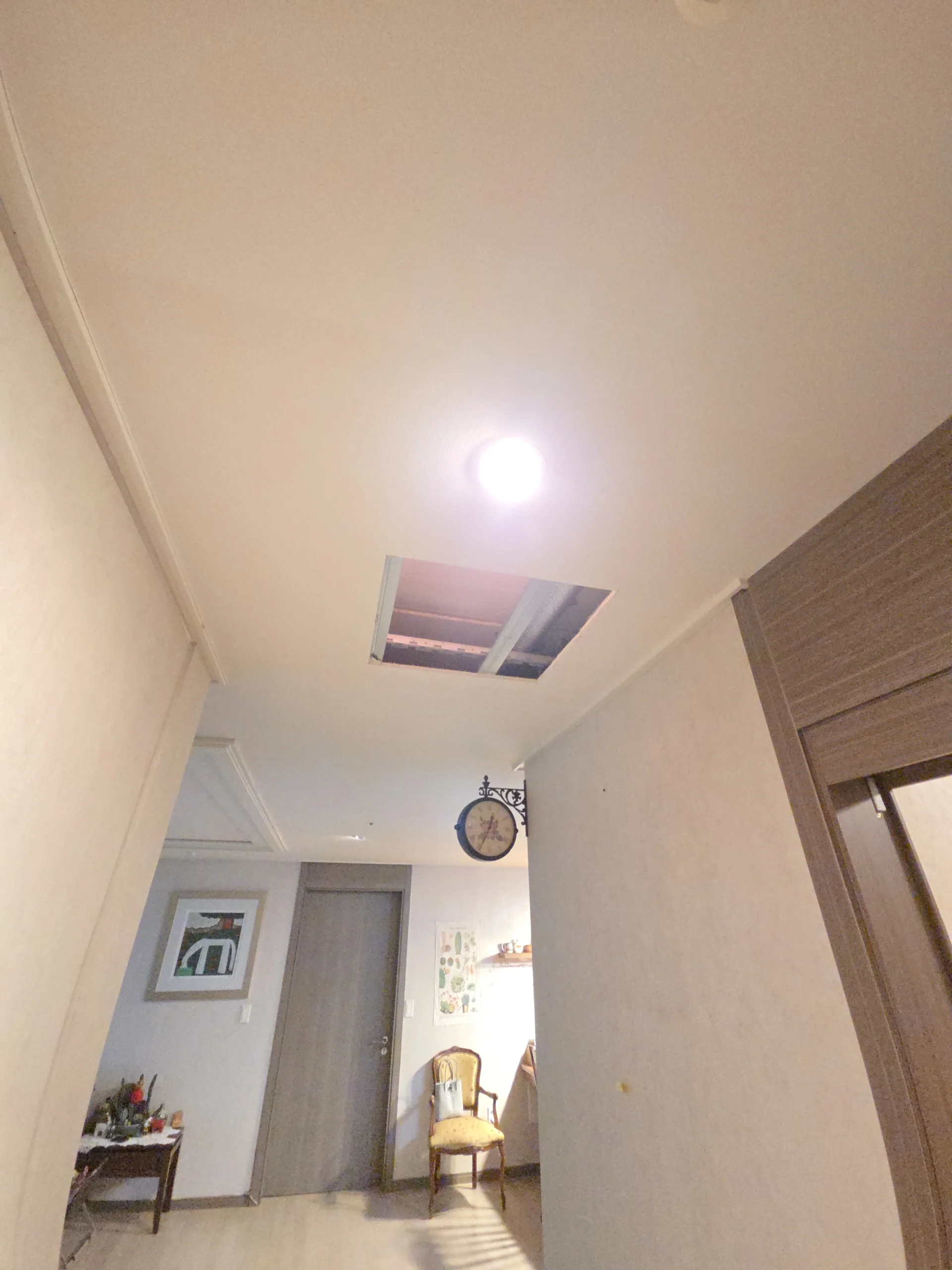 동물병원 천장점검구시공 시공 완료 상태